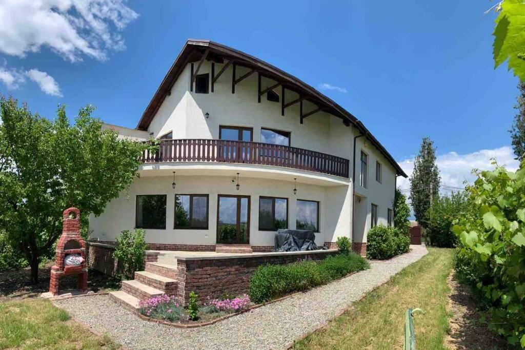 Casa Andreea. Cheerful 4-Bedroom Villa Bod Zewnętrze zdjęcie